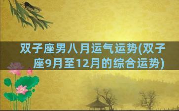 双子座男八月运气运势(双子座9月至12月的综合运势)
