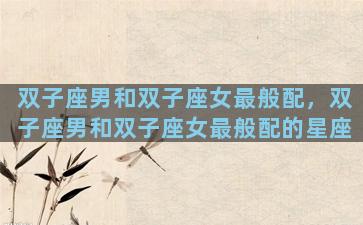 双子座男和双子座女最般配，双子座男和双子座女最般配的星座