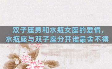 双子座男和水瓶女座的爱情,水瓶座与双子座分开谁最舍不得