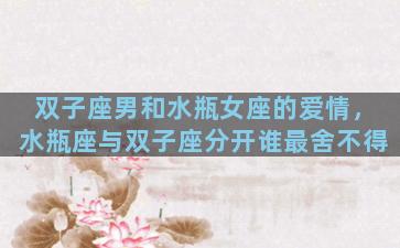 双子座男和水瓶女座的爱情，水瓶座与双子座分开谁最舍不得
