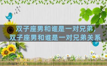 双子座男和谁是一对兄弟,双子座男和谁是一对兄弟关系