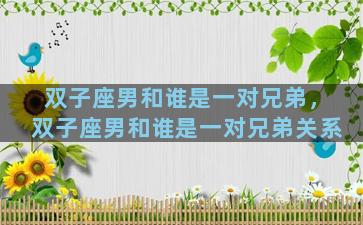 双子座男和谁是一对兄弟，双子座男和谁是一对兄弟关系