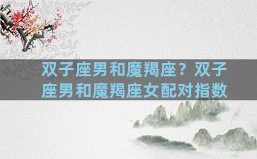 双子座男和魔羯座？双子座男和魔羯座女配对指数