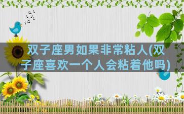 双子座男如果非常粘人(双子座喜欢一个人会粘着他吗)
