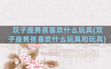 双子座男孩喜欢什么玩具(双子座男孩喜欢什么玩具和玩具)