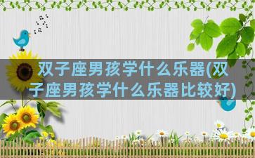 双子座男孩学什么乐器(双子座男孩学什么乐器比较好)