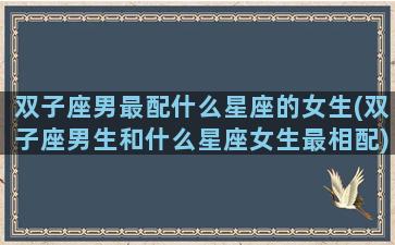双子座男最配什么星座的女生(双子座男生和什么星座女生最相配)