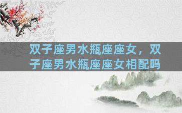 双子座男水瓶座座女，双子座男水瓶座座女相配吗