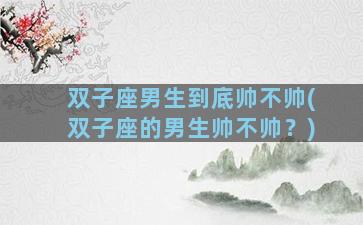 双子座男生到底帅不帅(双子座的男生帅不帅？)