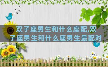 双子座男生和什么座配,双子座男生和什么座男生最配对
