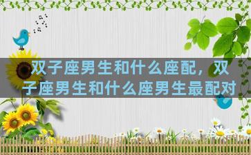 双子座男生和什么座配，双子座男生和什么座男生最配对