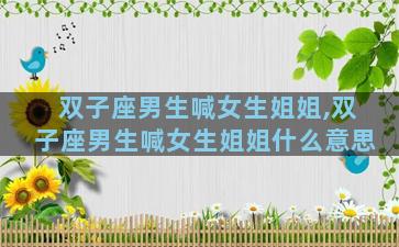 双子座男生喊女生姐姐,双子座男生喊女生姐姐什么意思