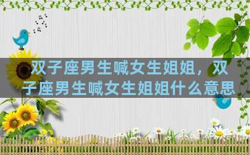 双子座男生喊女生姐姐，双子座男生喊女生姐姐什么意思