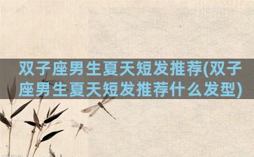 双子座男生夏天短发推荐(双子座男生夏天短发推荐什么发型)
