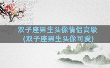 双子座男生头像情侣高级(双子座男生头像可爱)