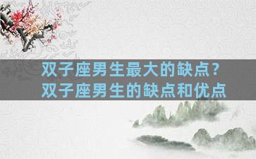 双子座男生最大的缺点？双子座男生的缺点和优点