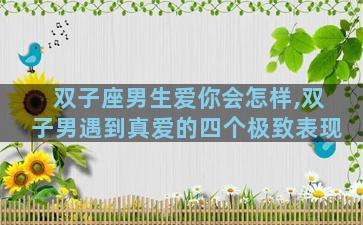 双子座男生爱你会怎样,双子男遇到真爱的四个极致表现