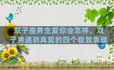 双子座男生爱你会怎样，双子男遇到真爱的四个极致表现