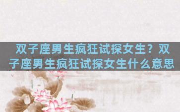 双子座男生疯狂试探女生？双子座男生疯狂试探女生什么意思