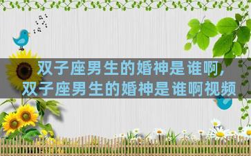 双子座男生的婚神是谁啊,双子座男生的婚神是谁啊视频