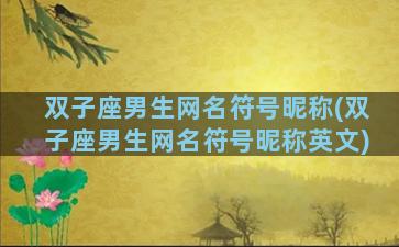双子座男生网名符号昵称(双子座男生网名符号昵称英文)
