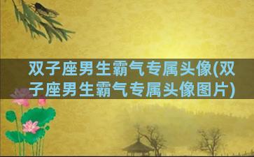 双子座男生霸气专属头像(双子座男生霸气专属头像图片)