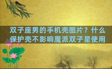 双子座男的手机壳图片？什么保护壳不影响魔派双子星使用