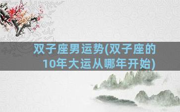 双子座男运势(双子座的10年大运从哪年开始)