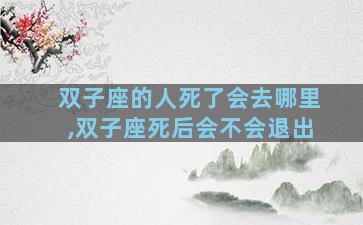 双子座的人死了会去哪里,双子座死后会不会退出