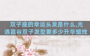 双子座的幸运头发是什么,光遇霞谷双子发型要多少升华蜡烛