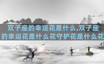 双子座的幸运花是什么,双子座的幸运花是什么花守护花是什么花
