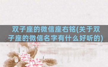 双子座的微信座右铭(关于双子座的微信名字有什么好听的)
