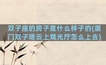 双子座的房子是什么样子的(厦门双子塔云上观光厅怎么上去)