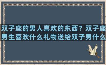 双子座的男人喜欢的东西？双子座男生喜欢什么礼物送给双子男什么礼物最好