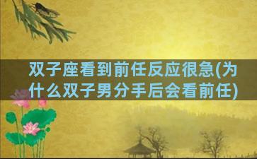双子座看到前任反应很急(为什么双子男分手后会看前任)