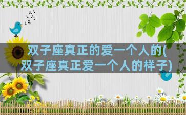 双子座真正的爱一个人的(双子座真正爱一个人的样子)