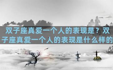双子座真爱一个人的表现是？双子座真爱一个人的表现是什么样的