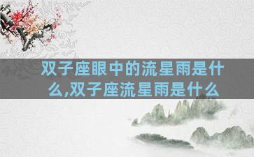 双子座眼中的流星雨是什么,双子座流星雨是什么