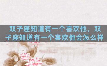 双子座知道有一个喜欢他，双子座知道有一个喜欢他会怎么样
