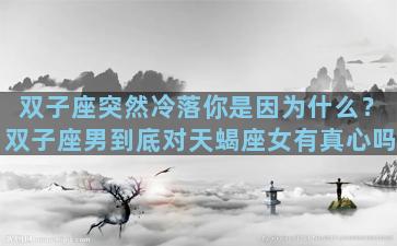 双子座突然冷落你是因为什么？双子座男到底对天蝎座女有真心吗