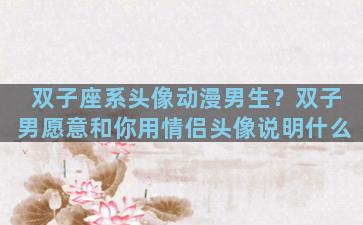 双子座系头像动漫男生？双子男愿意和你用情侣头像说明什么