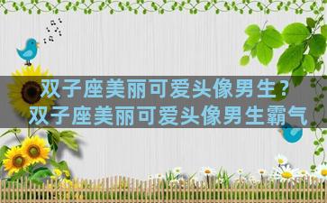 双子座美丽可爱头像男生？双子座美丽可爱头像男生霸气