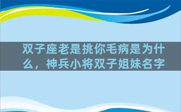 双子座老是挑你毛病是为什么，神兵小将双子姐妹名字