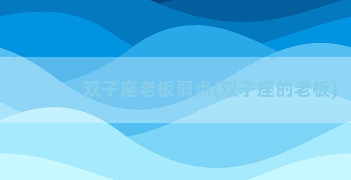双子座老板弱点(双子座的老板)