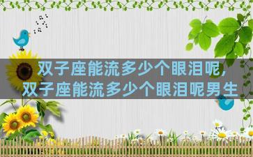 双子座能流多少个眼泪呢,双子座能流多少个眼泪呢男生