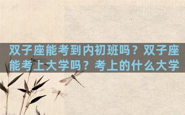 双子座能考到内初班吗？双子座能考上大学吗？考上的什么大学