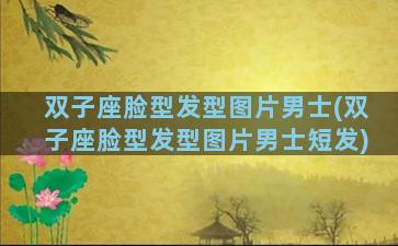 双子座脸型发型图片男士(双子座脸型发型图片男士短发)