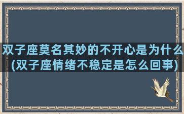 双子座莫名其妙的不开心是为什么(双子座情绪不稳定是怎么回事)