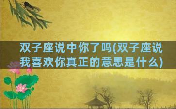 双子座说中你了吗(双子座说我喜欢你真正的意思是什么)
