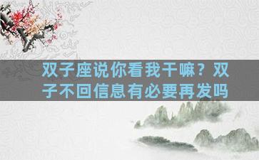双子座说你看我干嘛？双子不回信息有必要再发吗